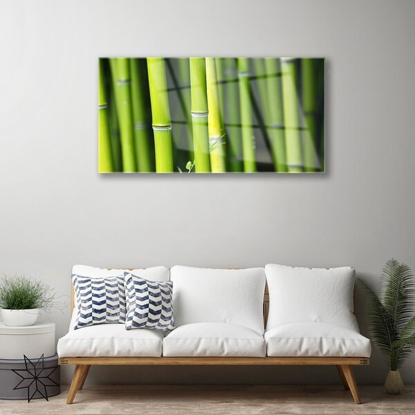 Quadro in vetro Bambù Pianta Naturale 100x50 cm 2 appendini