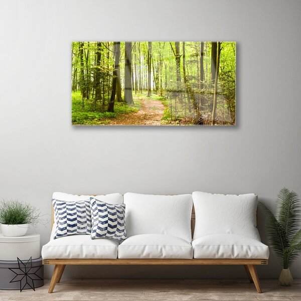 Quadro in vetro Percorso naturalistico della foresta 100x50 cm 2 appendini
