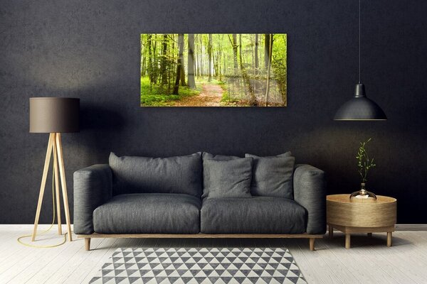 Quadro in vetro Percorso naturalistico della foresta 100x50 cm 2 appendini
