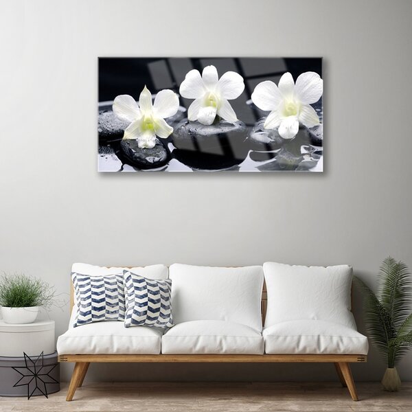 Quadro di vetro Pianta di orchidea 100x50 cm 2 appendini