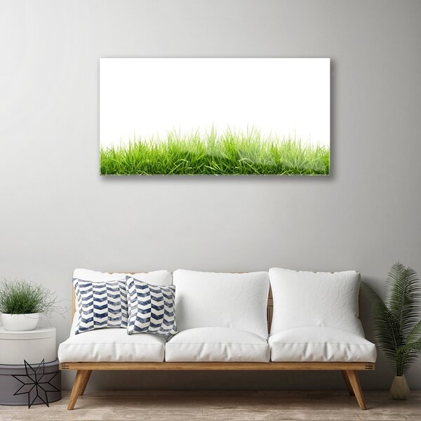 Quadro su vetro Erba Natura Pianta 100x50 cm 2 appendini
