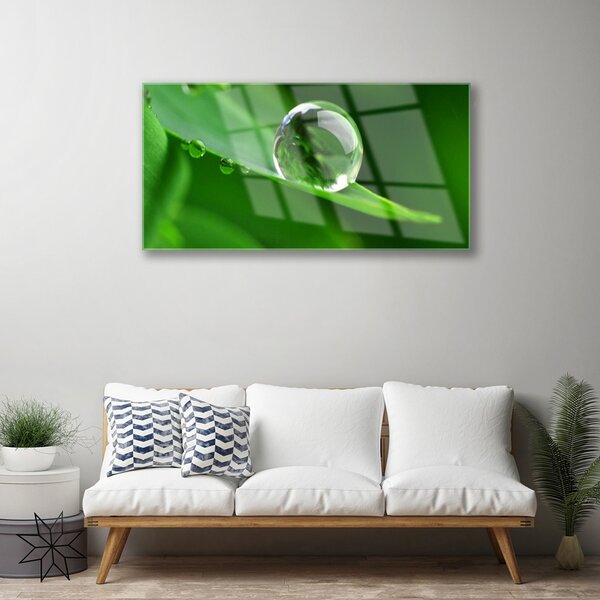 Quadro in vetro Gocce d'acqua di foglie Pianta 100x50 cm 2 appendini