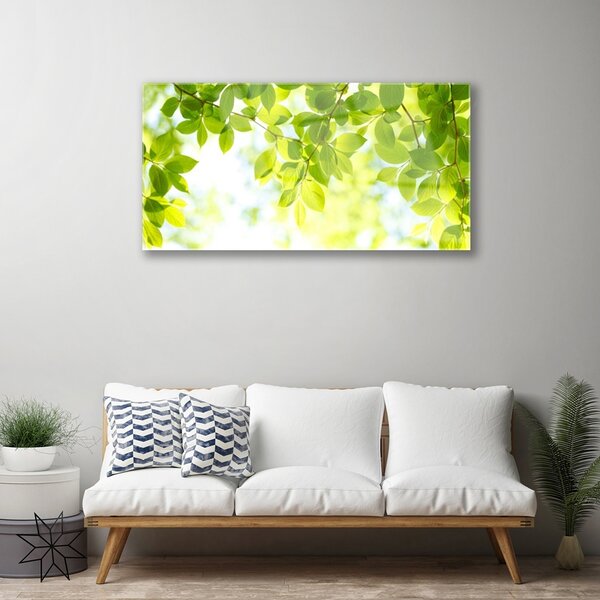 Quadro su vetro Foglia Natura Pianta 100x50 cm 2 appendini