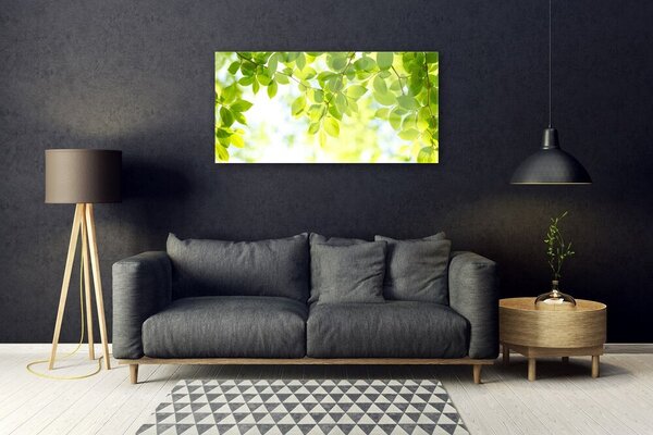 Quadro su vetro Foglia Natura Pianta 100x50 cm 2 appendini