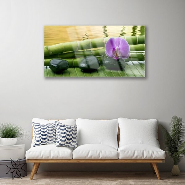Quadro di vetro Pietre di fiori Bambù Natura 100x50 cm 2 appendini