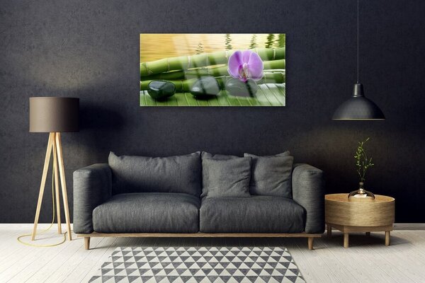 Quadro di vetro Pietre di fiori Bambù Natura 100x50 cm 2 appendini