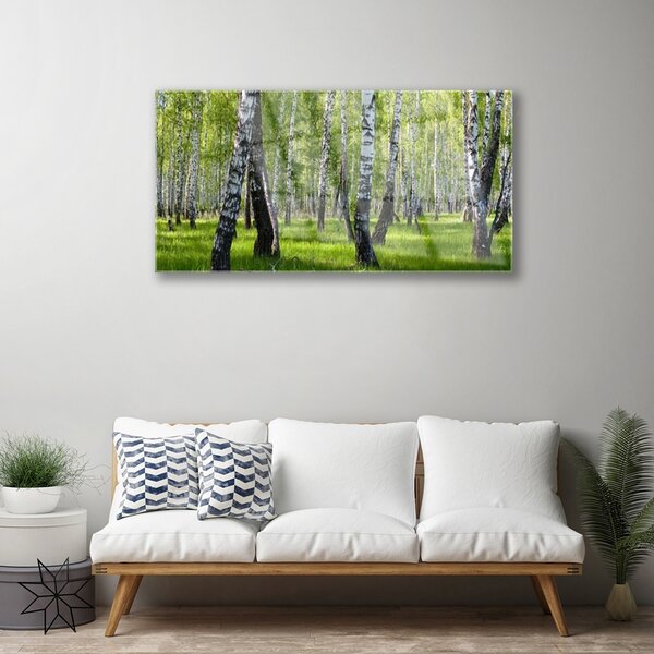 Quadro di vetro Foresta Alberi Natura 100x50 cm 2 appendini