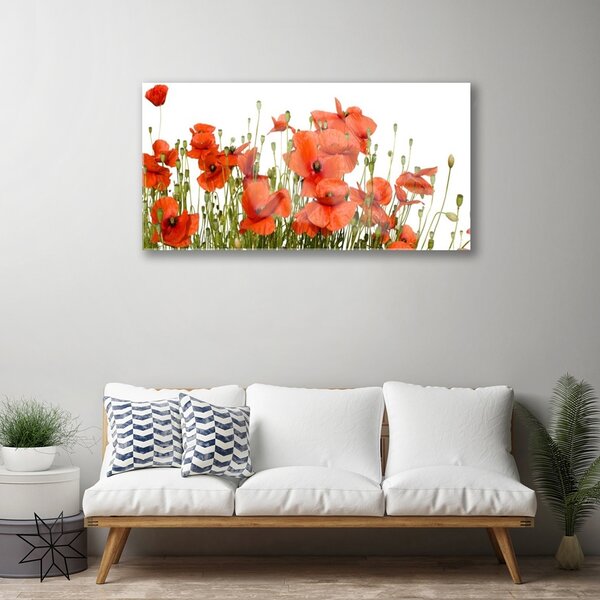 Quadro vetro Papaveri Pianta Naturale 100x50 cm 2 appendini