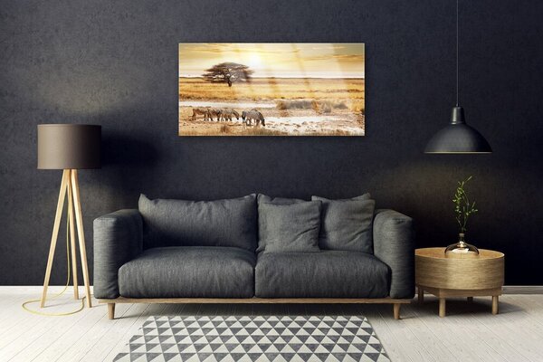 Quadro su vetro Paesaggio safari con zebre 100x50 cm 2 appendini