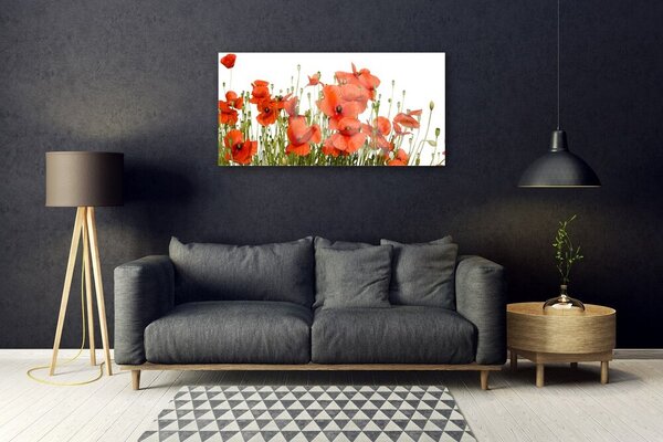 Quadro vetro Papaveri Pianta Naturale 100x50 cm 2 appendini