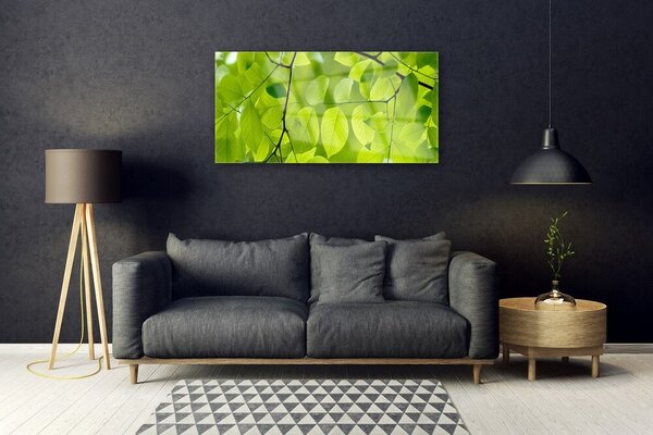 Quadro vetro Foglia Natura Pianta 100x50 cm 2 appendini
