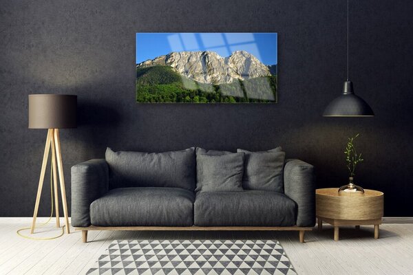 Quadro vetro Montagna Foresta Natura 100x50 cm 2 appendini