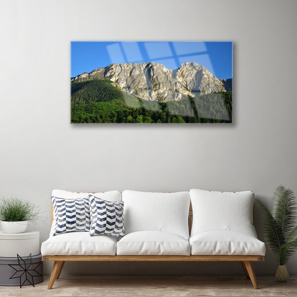 Quadro vetro Montagna Foresta Natura 100x50 cm 2 appendini