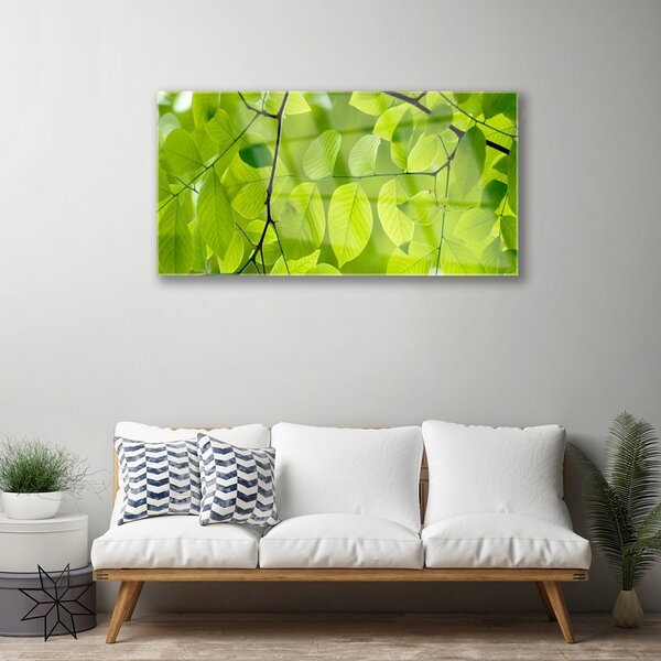 Quadro vetro Foglia Natura Pianta 100x50 cm 2 appendini