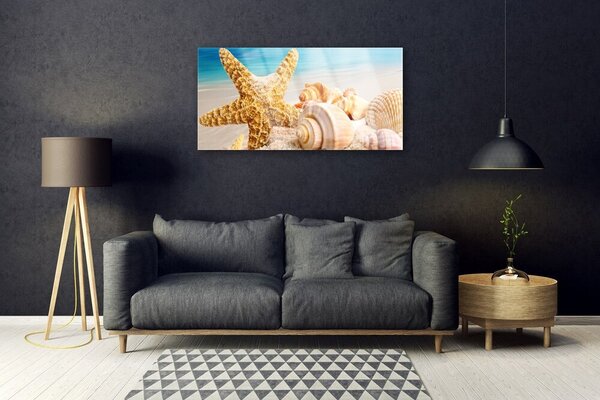 Quadro vetro Arte della conchiglia a forma di stella marina 100x50 cm 2 appendini