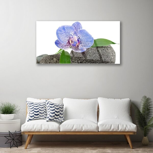 Quadro in vetro Fiore Pianta naturale 100x50 cm 2 appendini