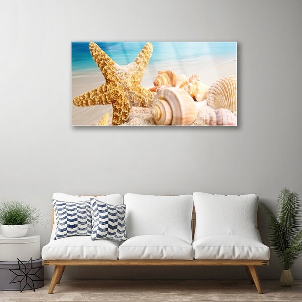 Quadro vetro Arte della conchiglia a forma di stella marina 100x50 cm 2 appendini