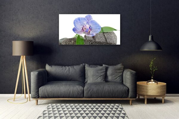 Quadro in vetro Fiore Pianta naturale 100x50 cm 2 appendini