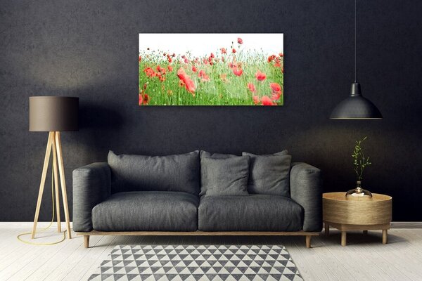 Quadro di vetro Papaveri Pianta Naturale 100x50 cm 2 appendini