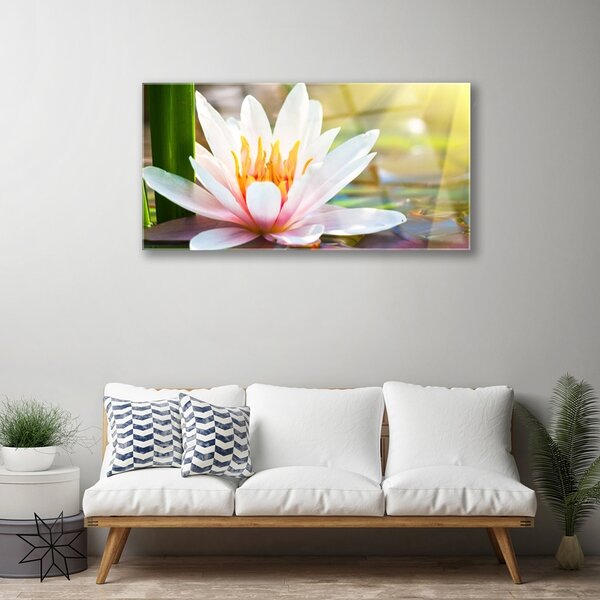 Quadro in vetro Fiori Pianta naturale 100x50 cm 2 appendini