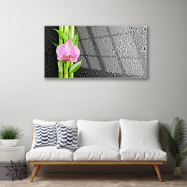 Quadro vetro Pianta di bambù a stelo fiorito 100x50 cm 2 appendini