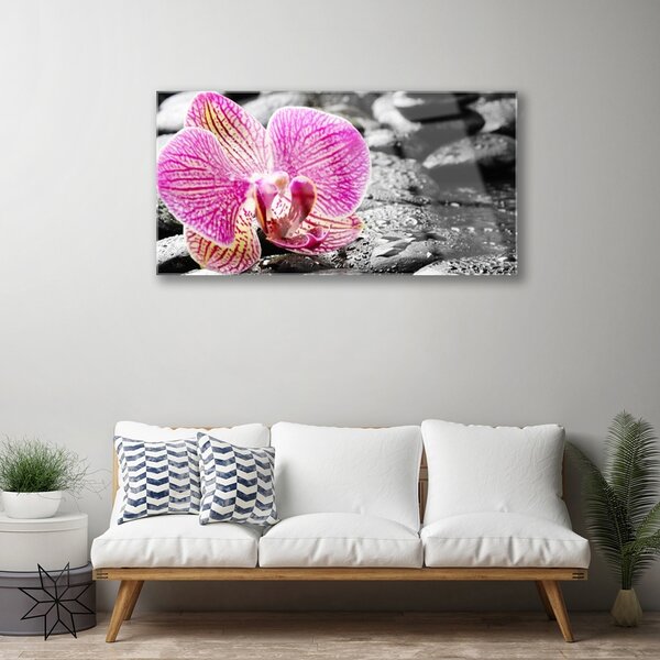 Quadro in vetro Pietre di fiori Orchidea 100x50 cm 2 appendini