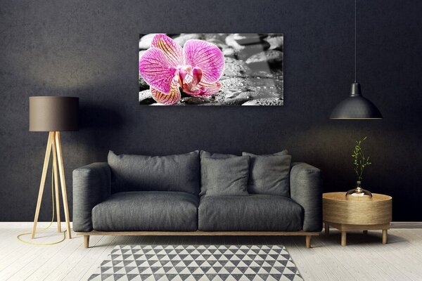 Quadro in vetro Pietre di fiori Orchidea 100x50 cm 2 appendini