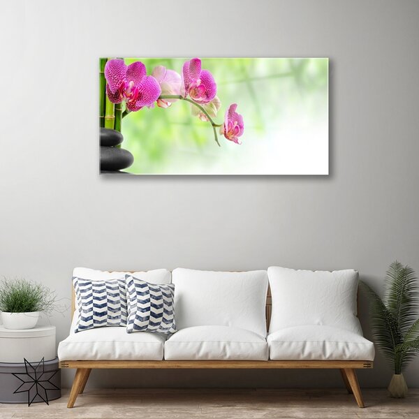 Quadro in vetro Fiore della natura Bambù 100x50 cm 2 appendini