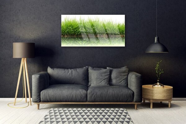 Quadro in vetro Erba Natura Pianta 100x50 cm 2 appendini