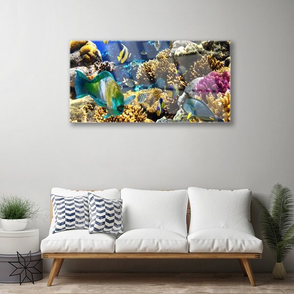 Quadro su vetro Natura della barriera corallina 100x50 cm 2 appendini