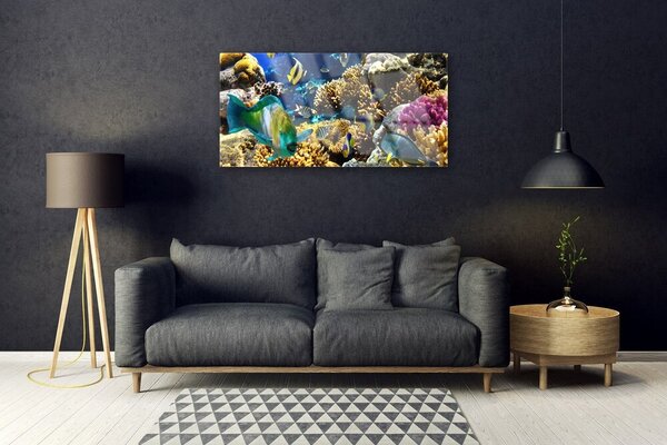 Quadro su vetro Natura della barriera corallina 100x50 cm 2 appendini
