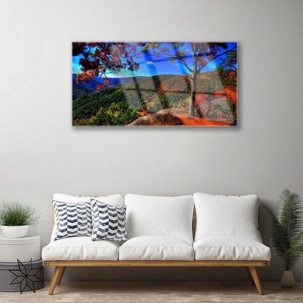 Quadro su vetro Montagna Foresta Natura 100x50 cm 2 appendini
