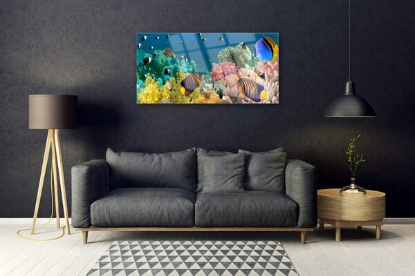 Quadro in vetro Natura della barriera corallina 100x50 cm 2 appendini