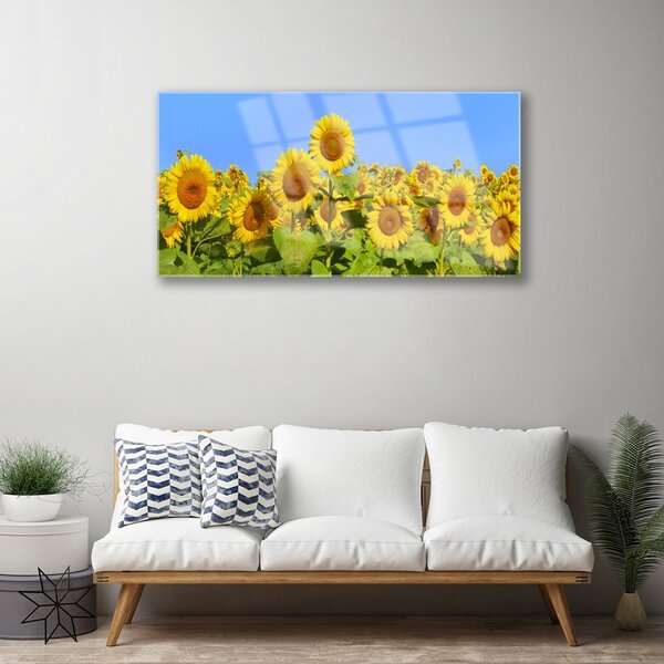 Quadro su vetro Pianta di girasole 100x50 cm 2 appendini
