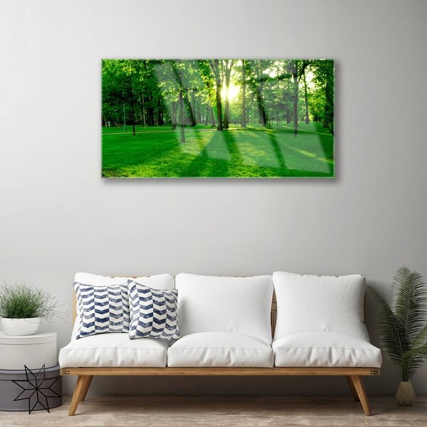 Quadro in vetro Parco Forestale Natura 100x50 cm 2 appendini
