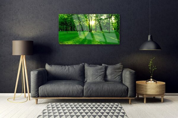 Quadro in vetro Parco Forestale Natura 100x50 cm 2 appendini