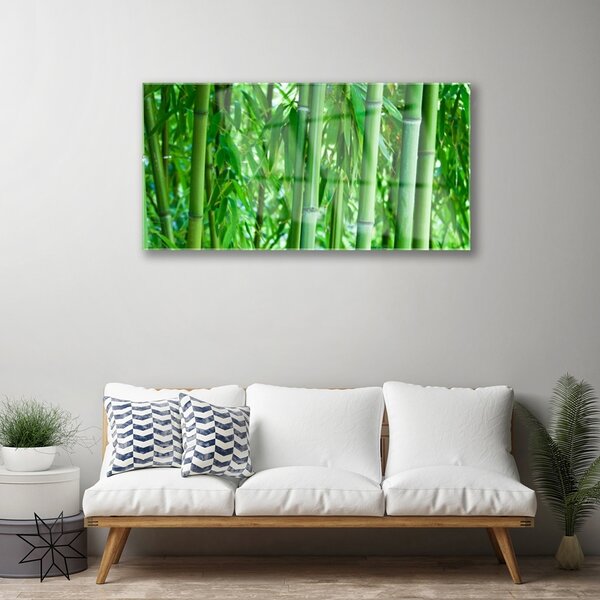 Quadro in vetro Pianta a stelo di bambù 100x50 cm 2 appendini