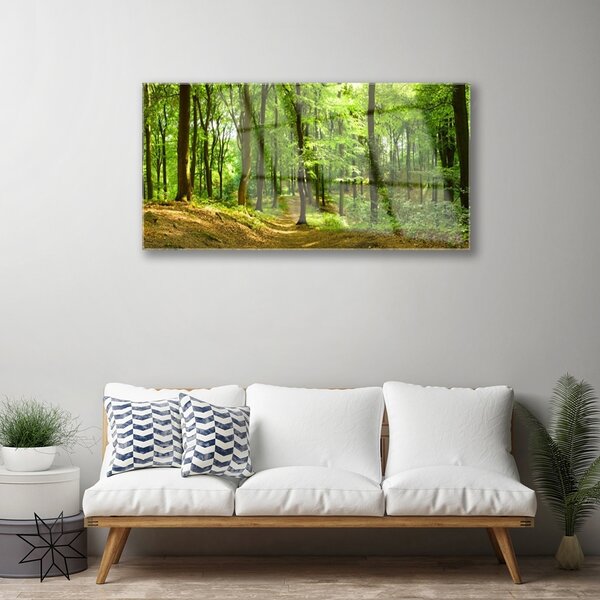 Quadro in vetro Percorso naturalistico della foresta 100x50 cm 2 appendini