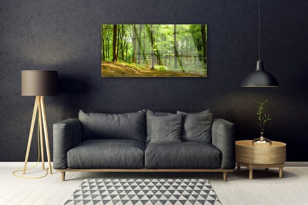 Quadro in vetro Percorso naturalistico della foresta 100x50 cm 2 appendini