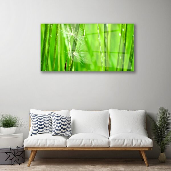 Quadro su vetro Erba Pianta Natura 100x50 cm 2 appendini
