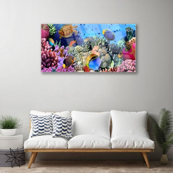 Quadro in vetro Natura della barriera corallina 100x50 cm 2 appendini