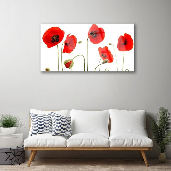 Quadro su vetro Papaveri Pianta Naturale 100x50 cm 2 appendini