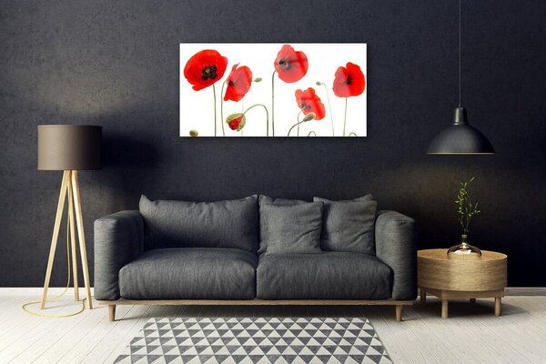 Quadro su vetro Papaveri Pianta Naturale 100x50 cm 2 appendini