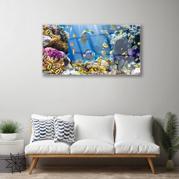 Quadro di vetro Natura della barriera corallina 100x50 cm 2 appendini