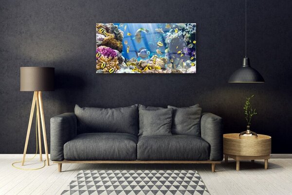 Quadro di vetro Natura della barriera corallina 100x50 cm 2 appendini