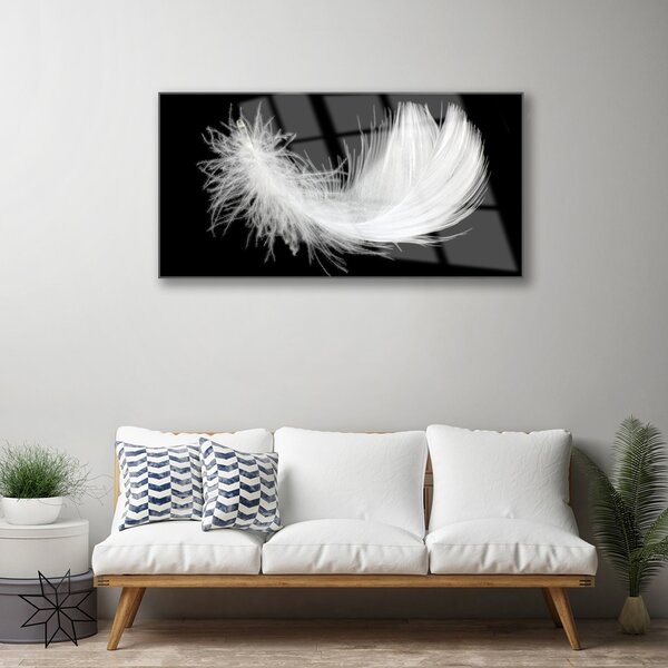 Quadro in vetro Arte delle piume 100x50 cm 2 appendini