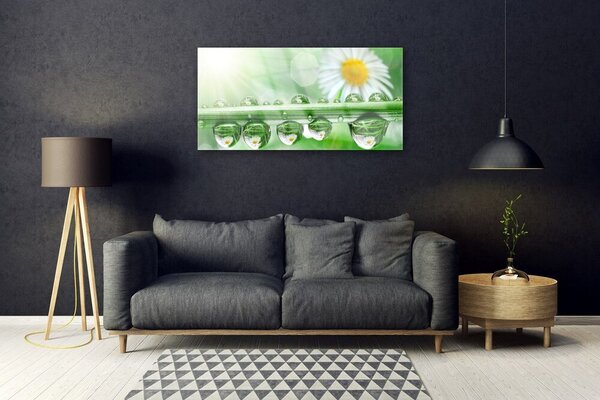 Quadro in vetro Rosa Leaf Daisy Natura 100x50 cm 2 appendini