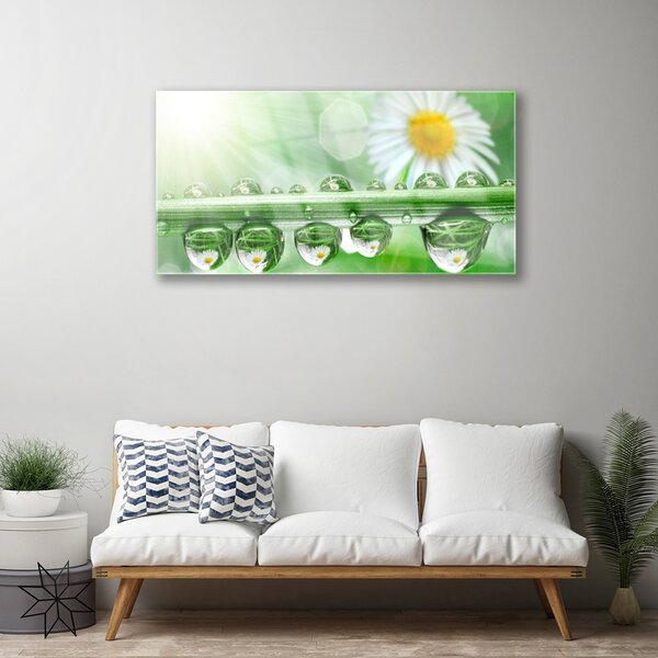 Quadro in vetro Rosa Leaf Daisy Natura 100x50 cm 2 appendini