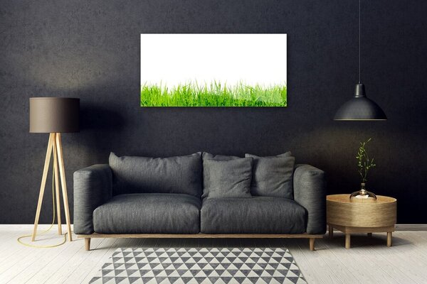 Quadro vetro Erba Natura Pianta 100x50 cm 2 appendini