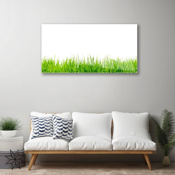 Quadro vetro Erba Natura Pianta 100x50 cm 2 appendini